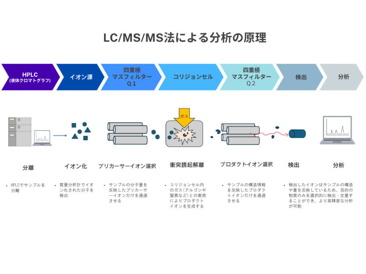 リピーター様限定ミネラル原液　50種類以上含有PFAS除去試験 楽天市場】PFAS 除去可能（PFOS PFOA 対応）高性能 浄水器 磨水