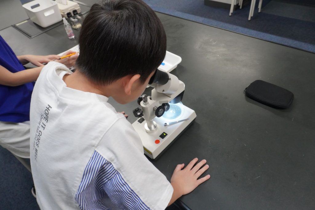 光学顕微鏡